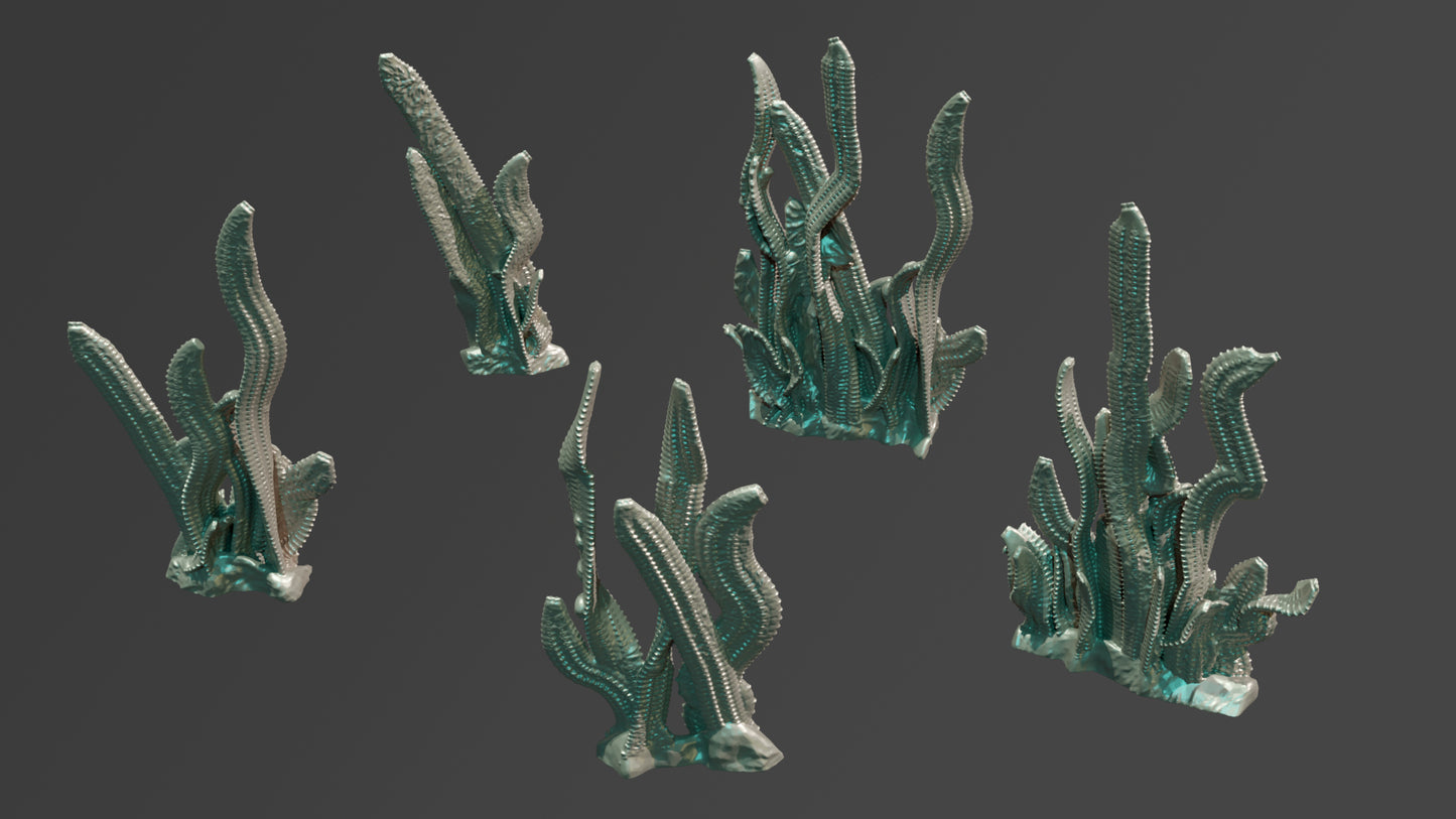 Alien Hive Colony - July 2023