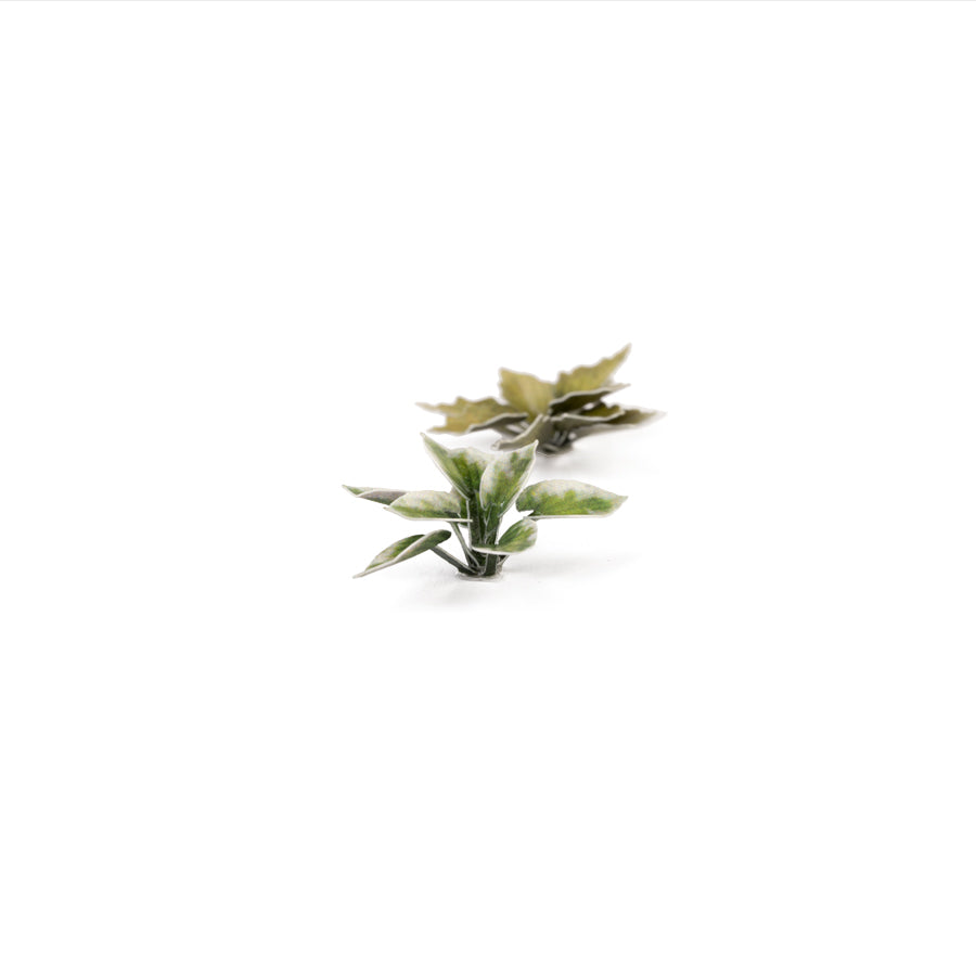 Gamer's Grass - Laser Plants Plantain Lily