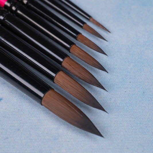Jay's Favorite Starter Set - PRE-ORDER Rosemary & Co. Set 25 Brushes - 7 Brush Set