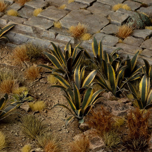 Gamer's Grass - Laser Plants Agave
