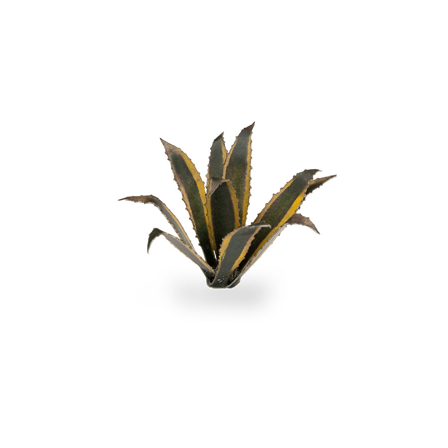 Gamer's Grass - Laser Plants Agave
