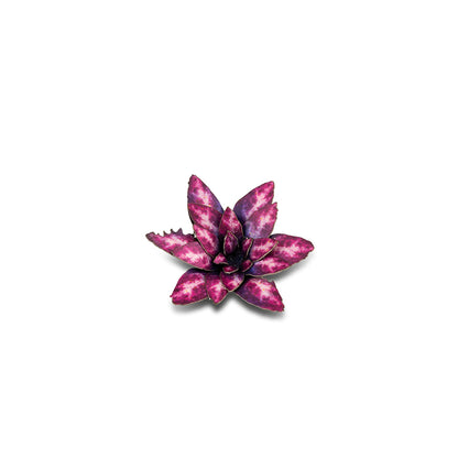 Gamer's Grass - Laser Plants Alien Rosette