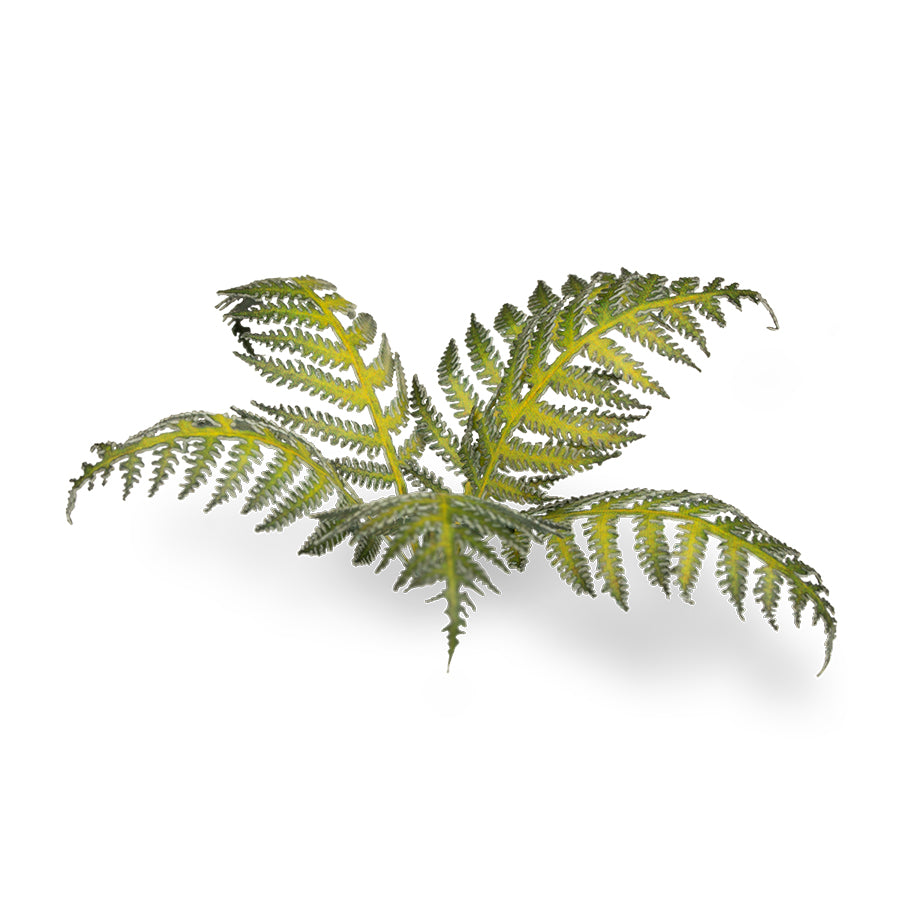 Gamer's Grass - Laser Plants Bracken