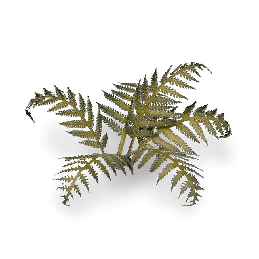 Gamer's Grass - Laser Plants Bracken