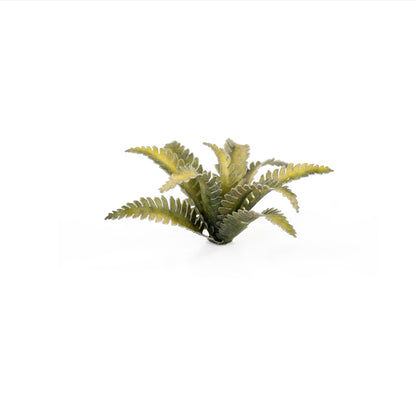 Gamer's Grass - Laser Plants Deer Fern