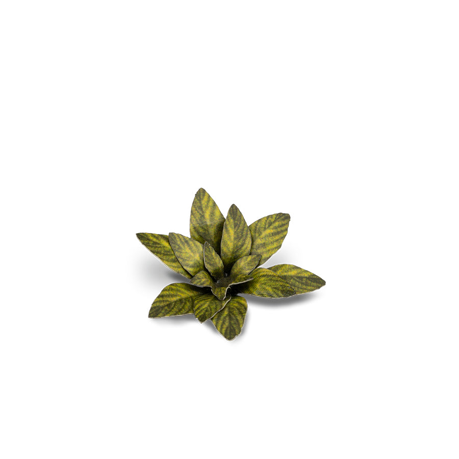 Gamer's Grass - Laser Plants Dumb Cane