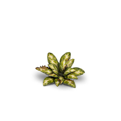 Gamer's Grass - Laser Plants Dumb Cane