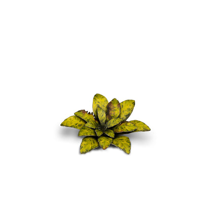Gamer's Grass - Laser Plants Dumb Cane