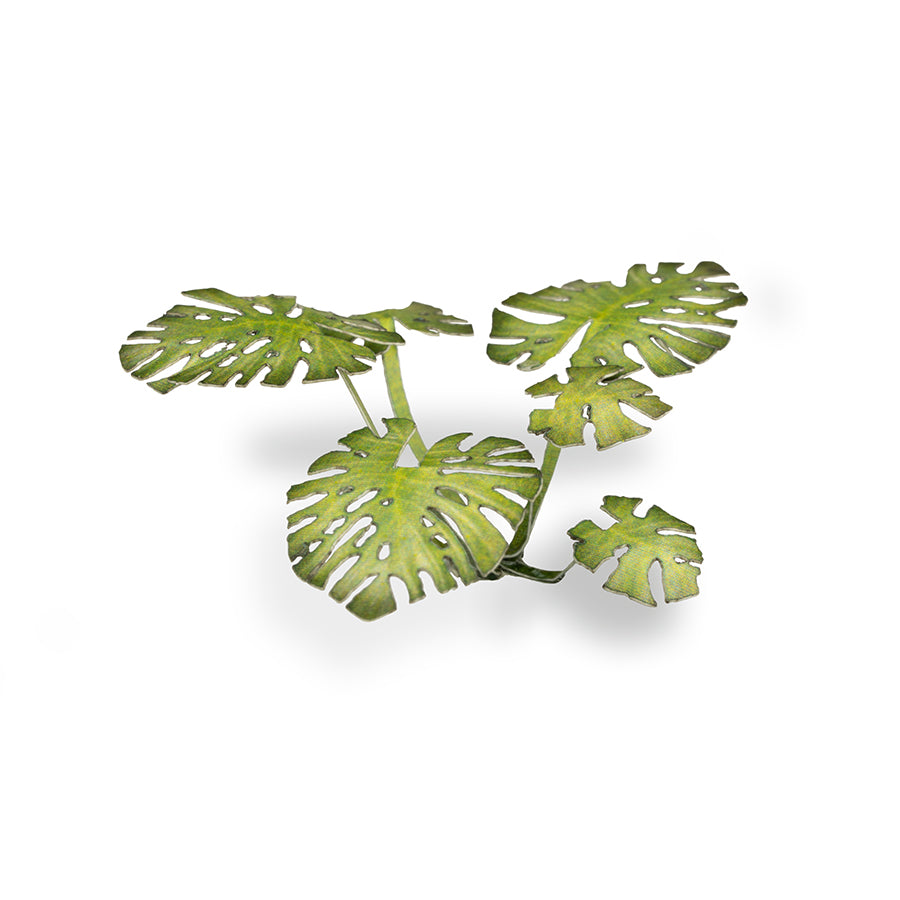 Gamer's Grass - Laser Plants Monstera