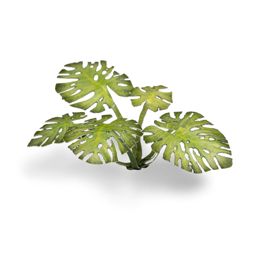 Gamer's Grass - Laser Plants Monstera