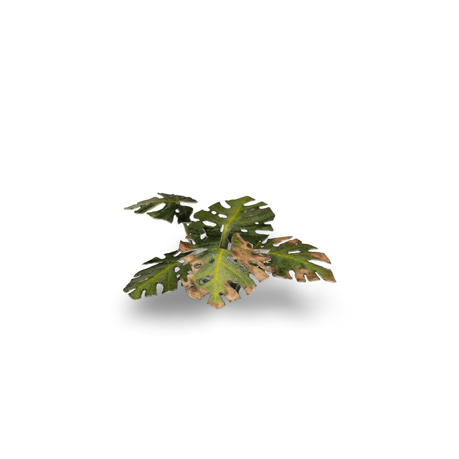 Gamer's Grass - Laser Plants Monstera