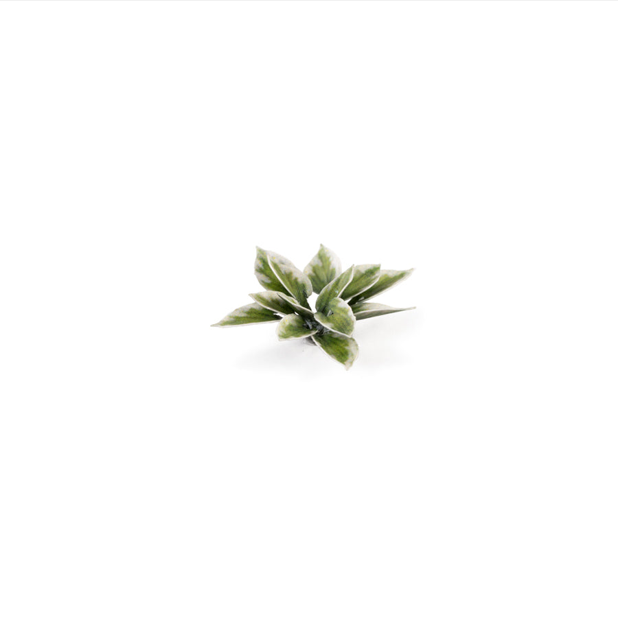 Gamer's Grass - Laser Plants Plantain Lily